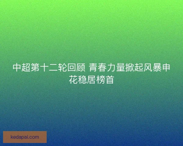 中超第十二轮回顾 青春力量掀起风暴申花稳居榜首