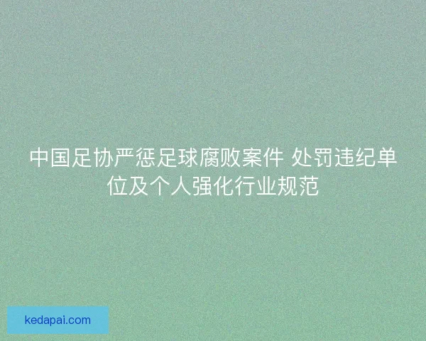 中国足协严惩足球腐败案件 处罚违纪单位及个人强化行业规范