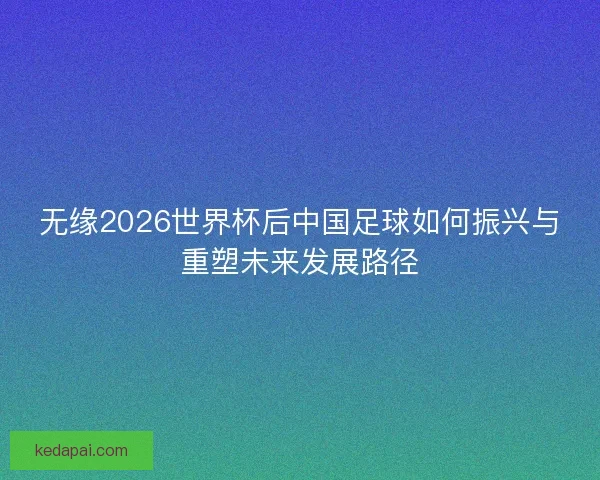 无缘2026世界杯后中国足球如何振兴与重塑未来发展路径
